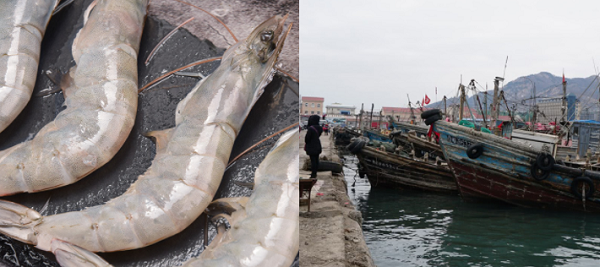 建造一個海鮮冷庫多少錢？